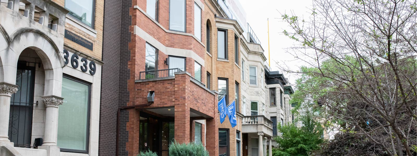 The GrownUp's Guide to Wrigleyville