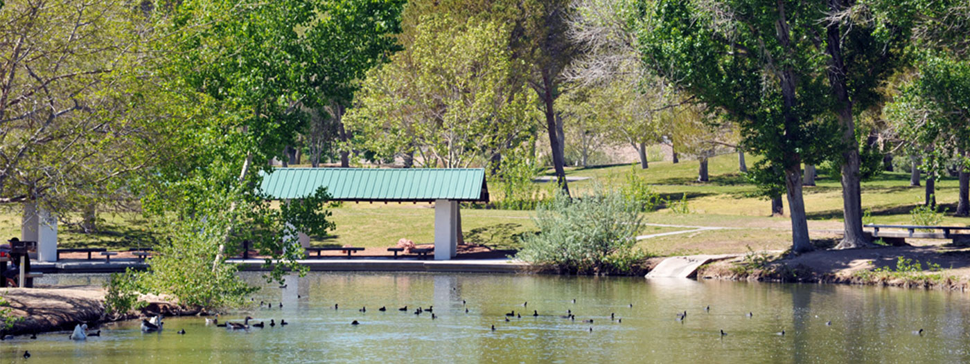 5 Reasons to Live in Centennial Hills in Las Vegas