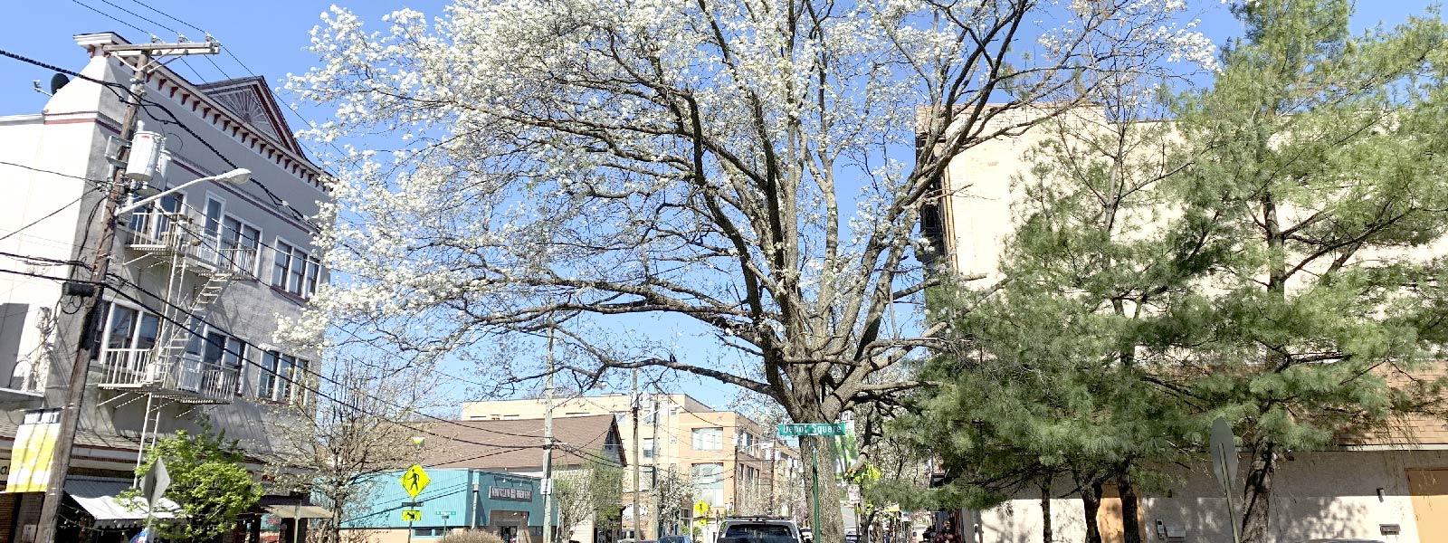 10 Things to Do in Montclair, New Jersey