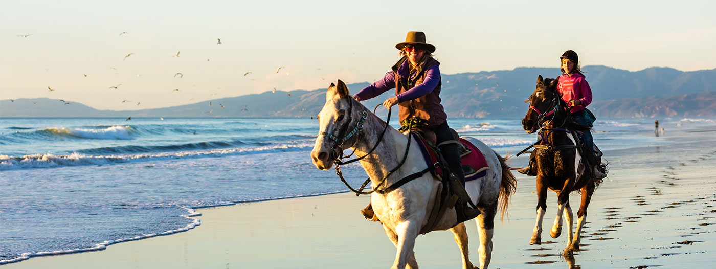 Bay Area Neighborhoods Horseback Riders Love