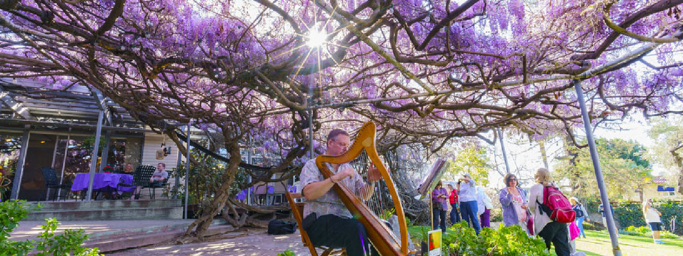 4 Reasons to Visit Sierra Madre, California