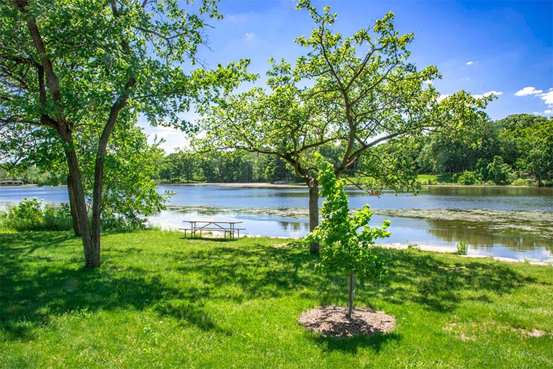 A lake with a grassy shoreline next to it and a picnic table at Herrick Lake outside Chicago