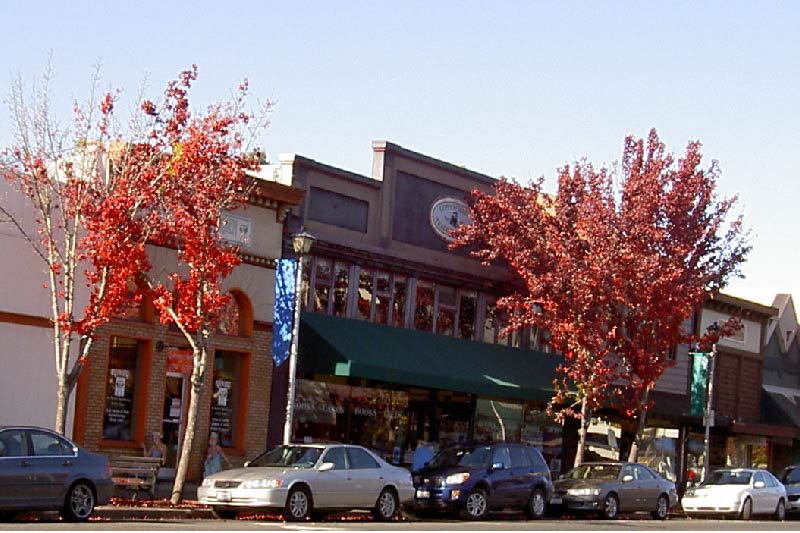 Downtown Sebastopol California