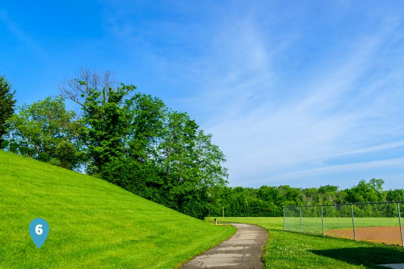 A pathway winds through a  park. 