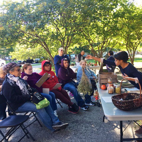 This Greenhouse Is Planting The Seeds Of Community Engagement In ...