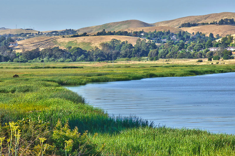 places to visit near vallejo ca