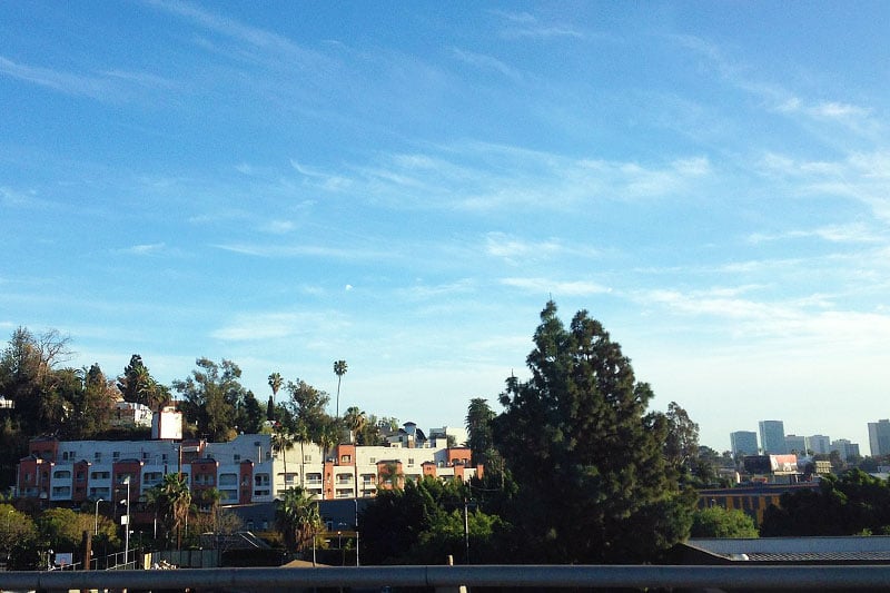 Trees and buildings in the Rampart Village neighborhood of Los Angeles, California
