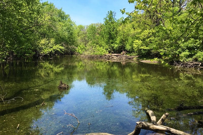 A river running through Fullerton Woods in River Grove, Illinois