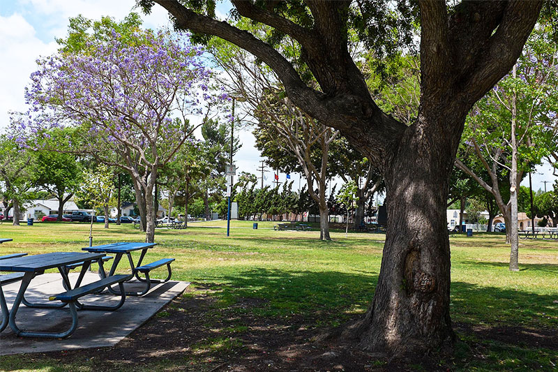 Eastside La Neighborhoods With The Best Athletic Fields