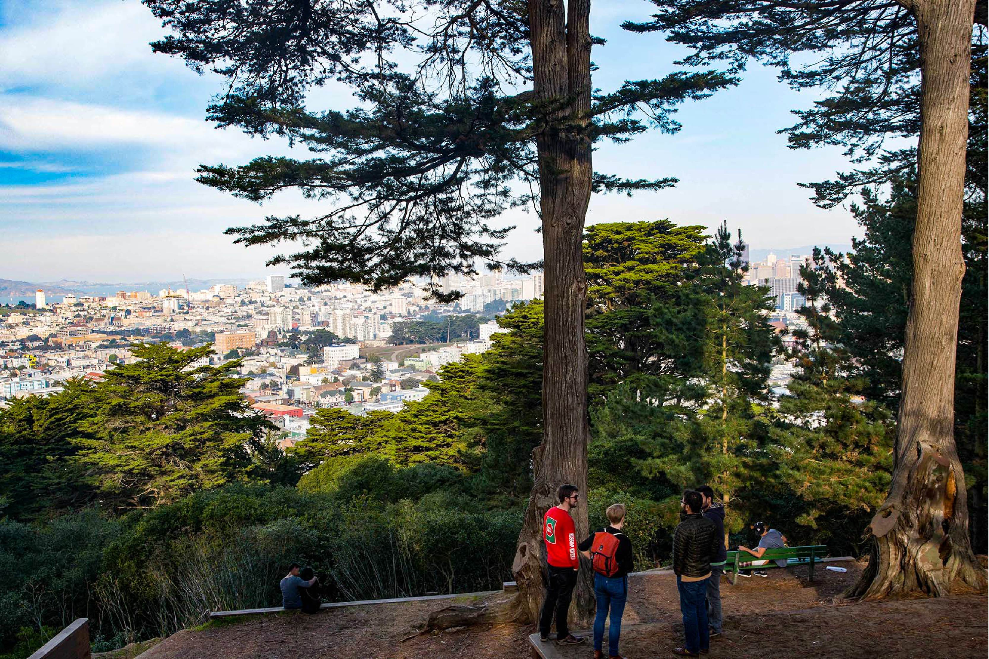 View of the city from haight-ashbury