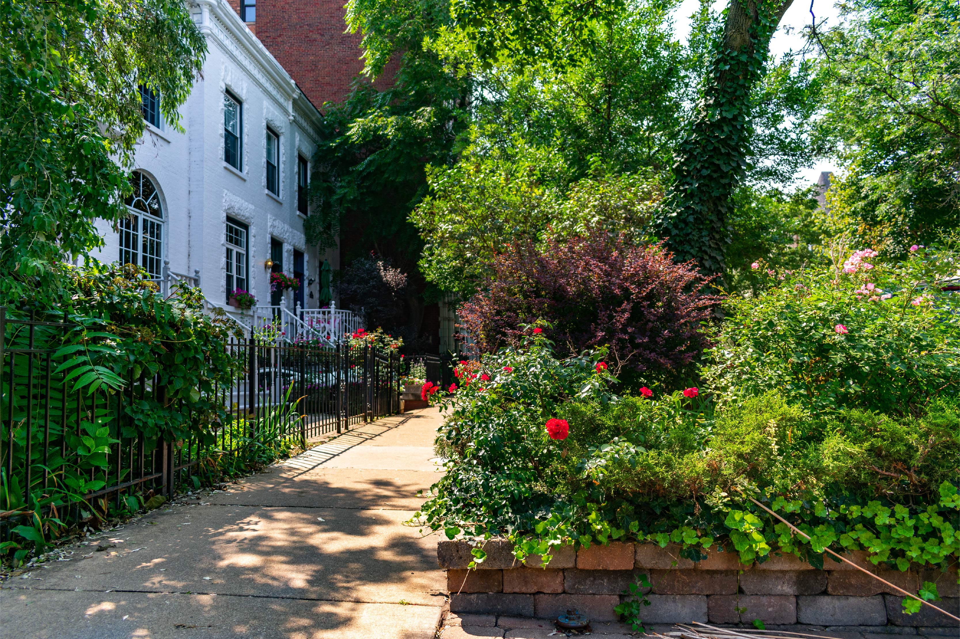 residential neighborhood in Lakeview