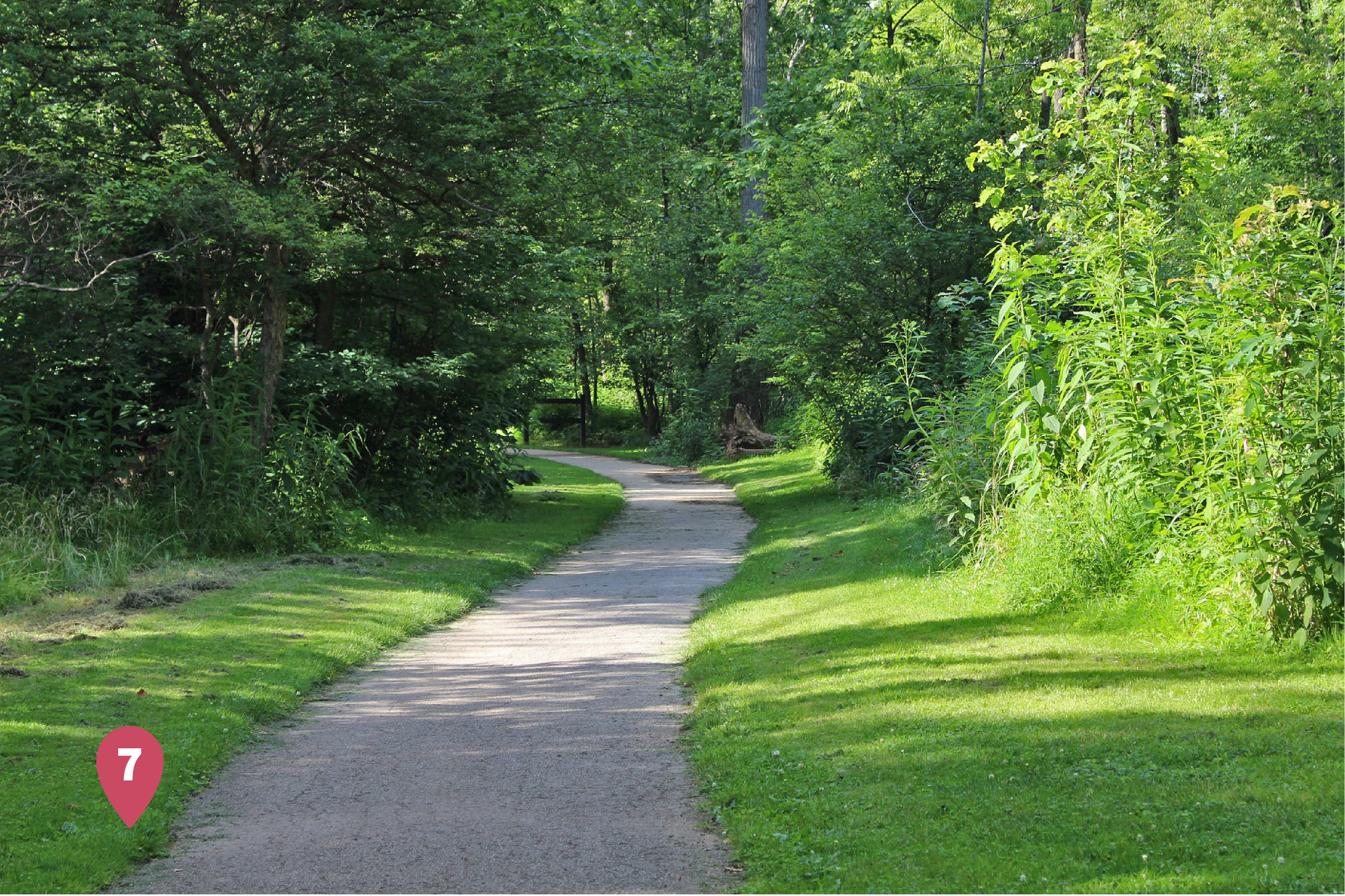 Walking and Biking Path