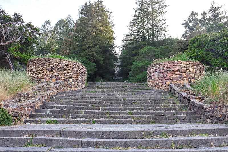 Stone stairs lead up to a trail and evergreen trees in San Francisco