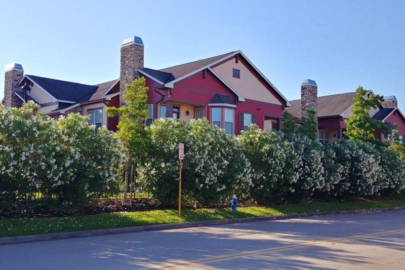 Houses among the lush flowering trees in Katy, Texas