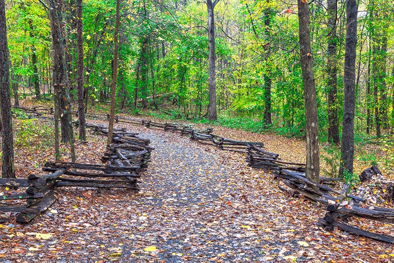 A trail in a forest with wood barriers on either side covered in autumn leaves