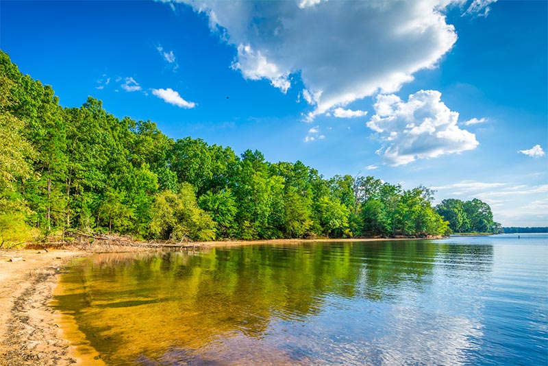 A bed of trees surrounds a large blue body of water with a small beach on the left