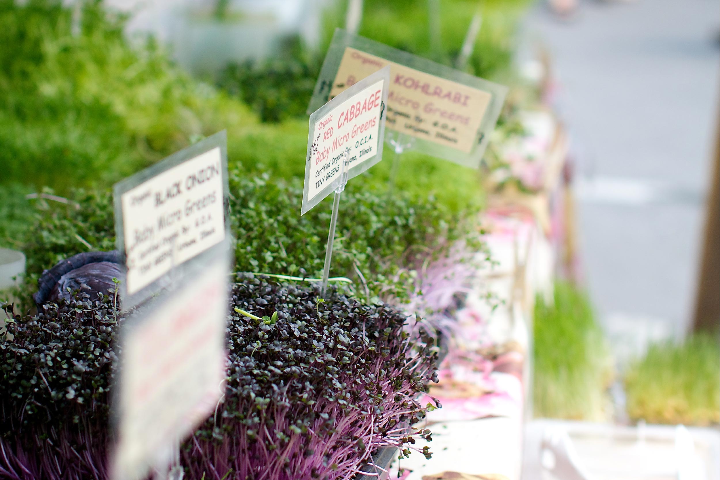 Logan Square Farmers Market