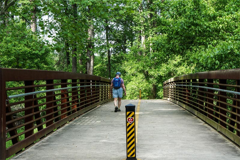 Man walking along shaded bike and pedestrian bridge in forest.