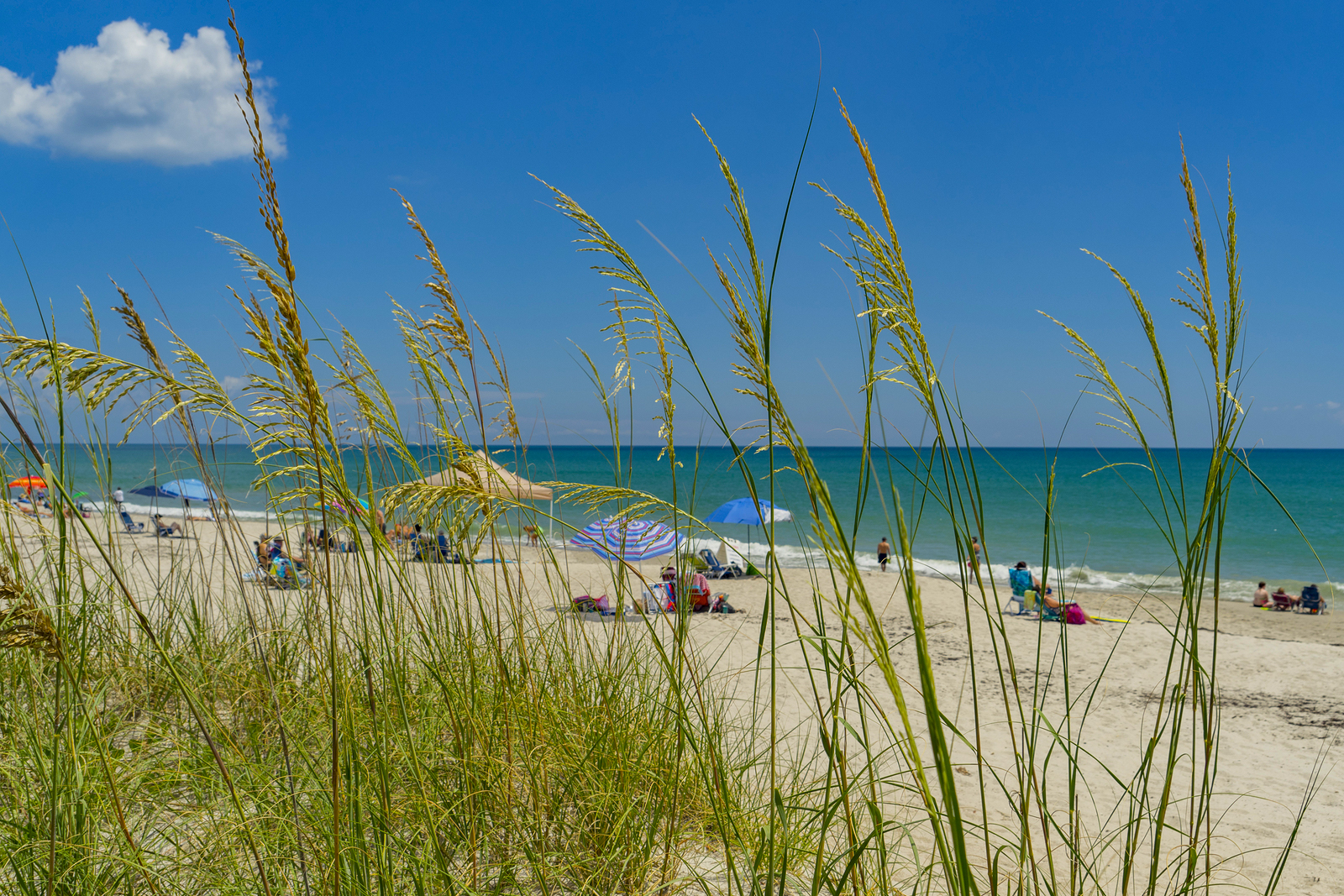 6-affordable-beach-towns-in-florida-neighborhoods