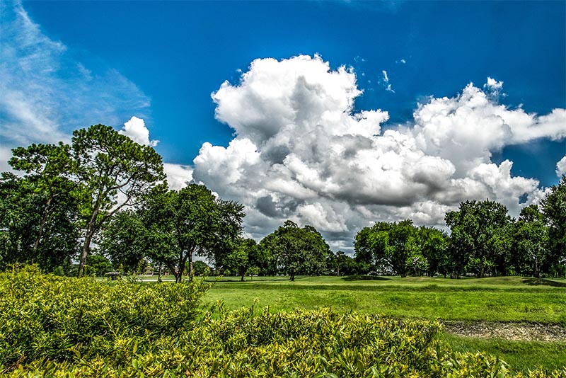 An image of a field with green trees in the background with blue skies and white clouds above in Richmond Texas