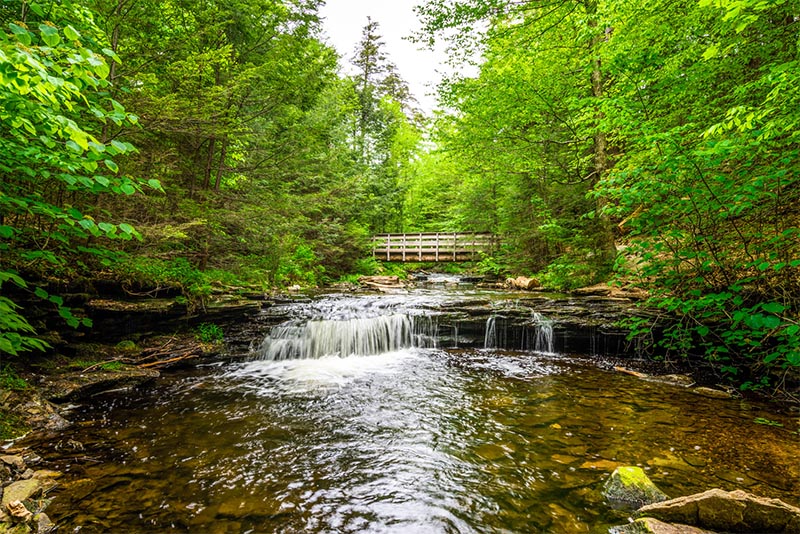 4 of the Best Hiking Trails and Walking Paths Near Butler, PA – Mike Kelly  Hyundai Blog