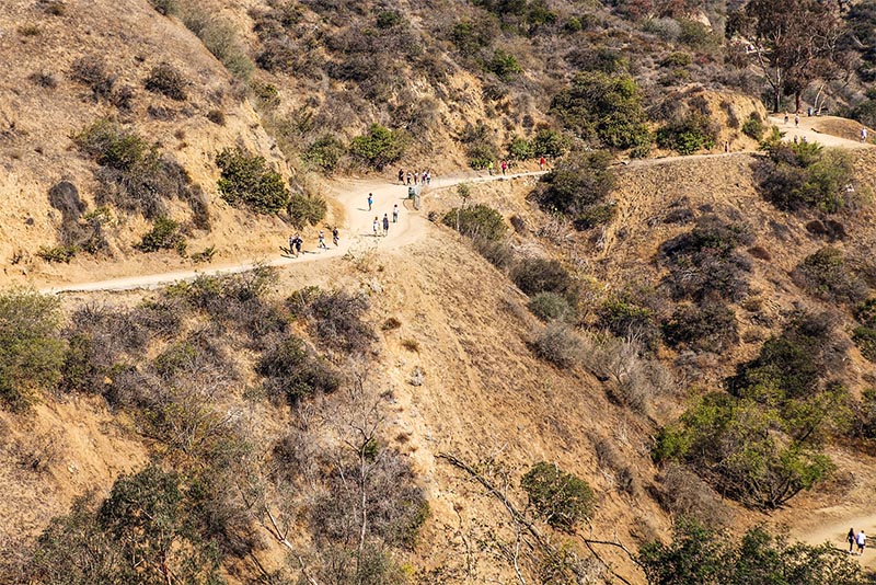 Runyon Canyon trails with many people hiking back and forth in Los Angeles