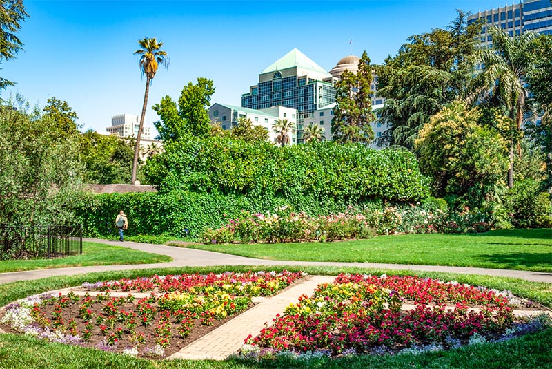 A flower bed along a path in a park in Sacramento