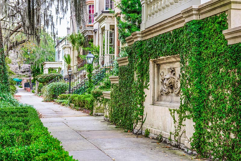 An ivy-covered wall next to old homes in Savannah Georgia