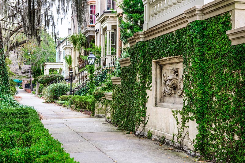 A row of historic stone homes in Savannah that are overgrown with greenery