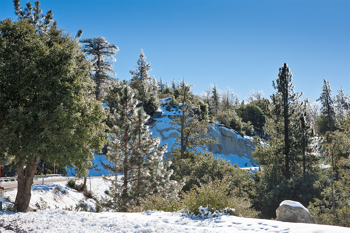 Idyllwild California