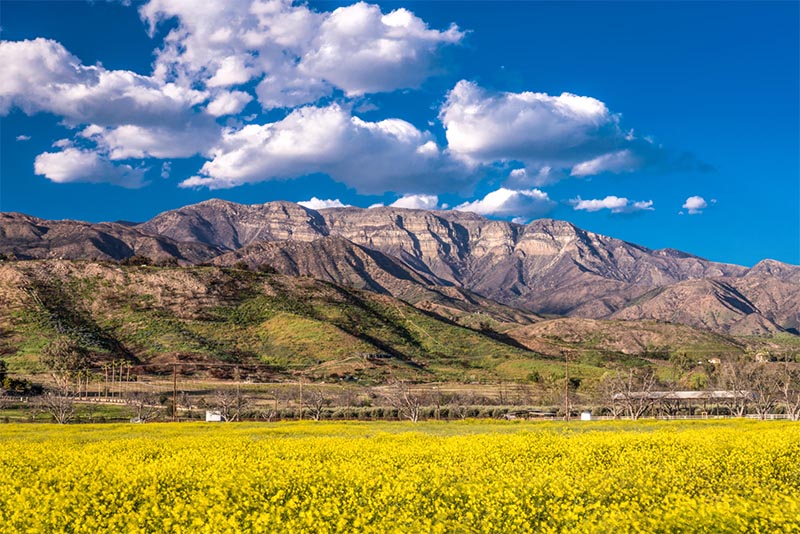 A mountain with scenery in Ojai California