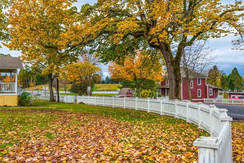 Houses in a residential small town with large lawns with fall leaves strewn about