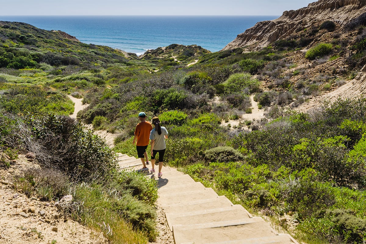 Torrey Pines State Natural Reserve