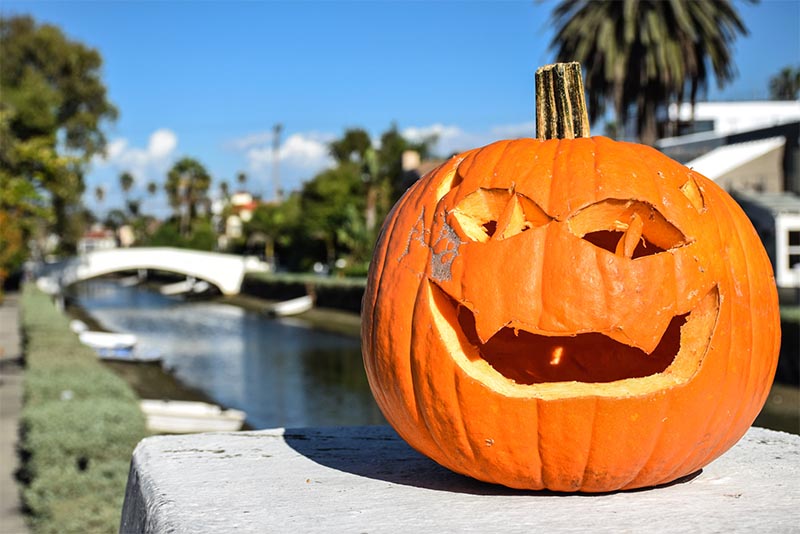 A pumpkin on a bridge in front of the scenic Venice California canals
