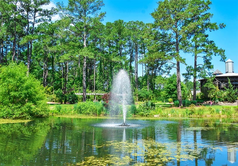 A fountain surrounded by greenery at the botanic gardens in Fayetteville North Carolina