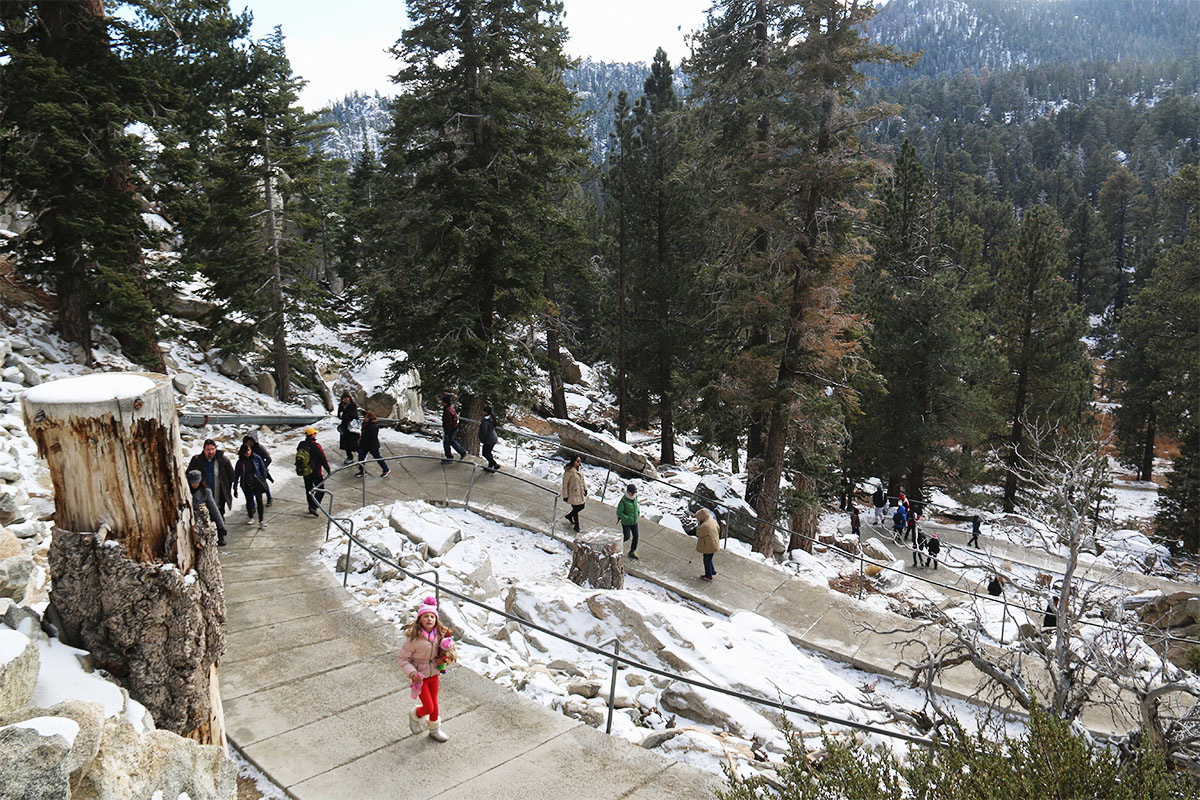 Palm Springs Aerial Tramway California