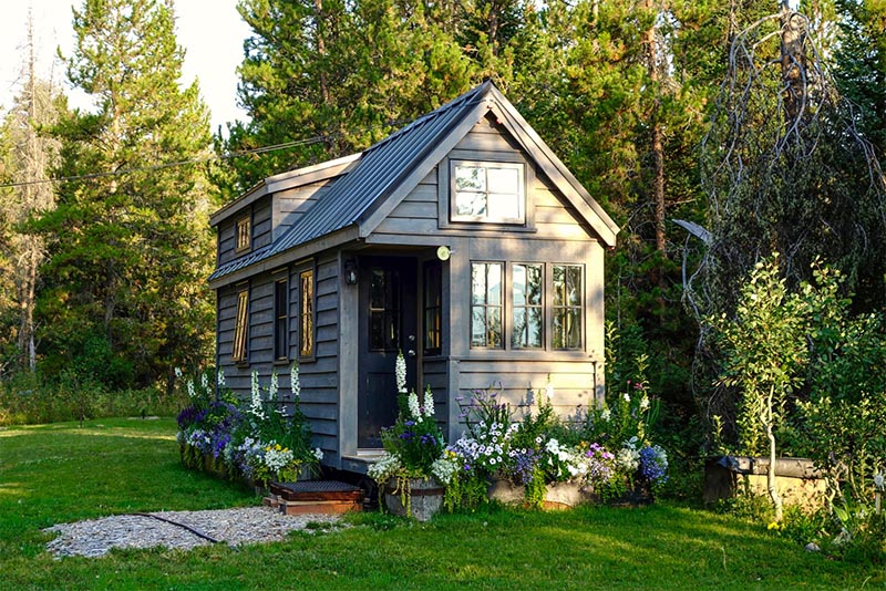 A black tiny house with many windows stands alone in front of a stand of trees