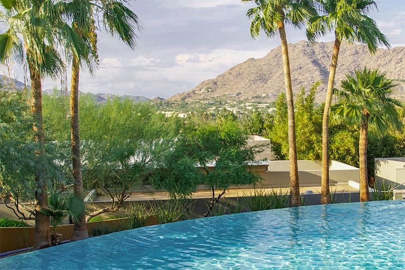 An infinity pool with a view of mountains and palm trees in Arizona