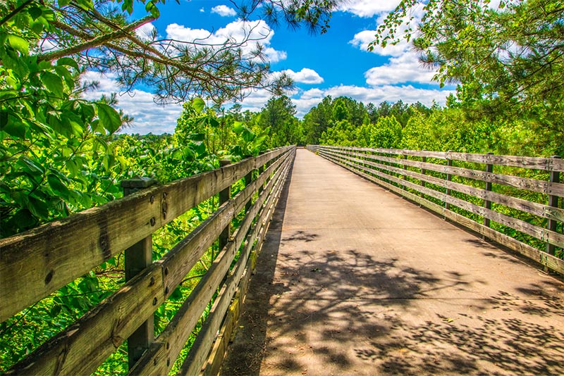 A wooden path in the Smyrna suburb of Atlanta Georgia