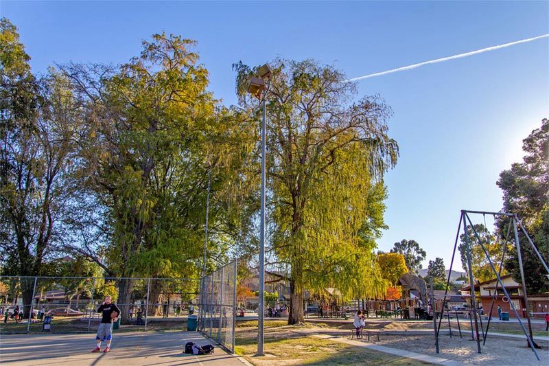 neighborhood park and basketball court with green trees