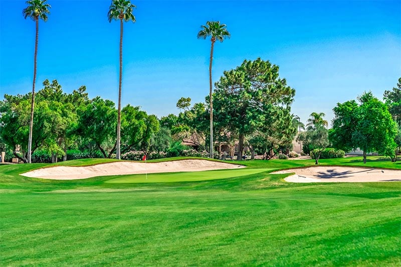 A golf course with palm trees surrounding it in Sun City West Arizona
