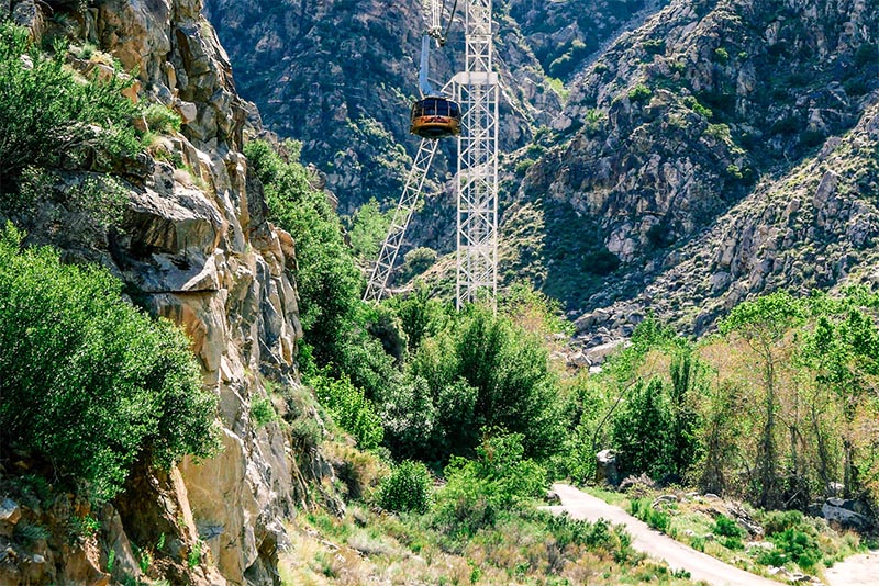 A trail runs below an aerial tram above in the center of a canyon in Palm Springs California