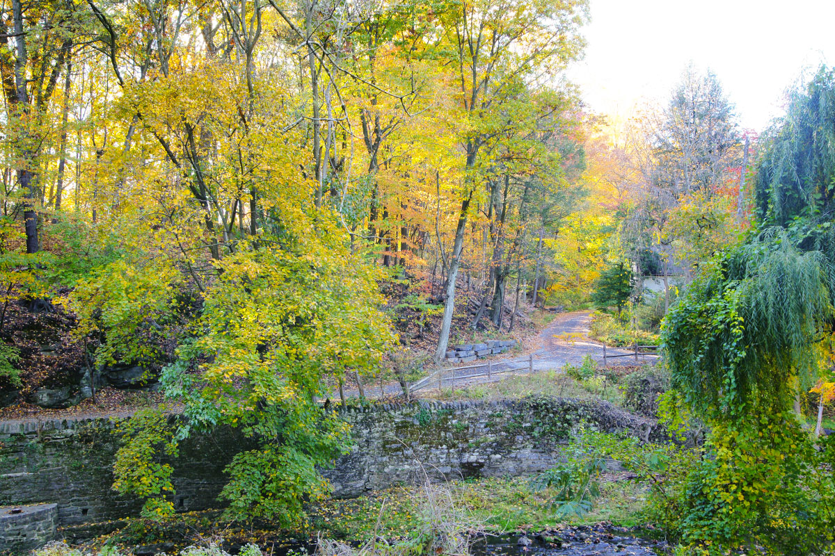 Trails in Chestnut Hill Philadelphia