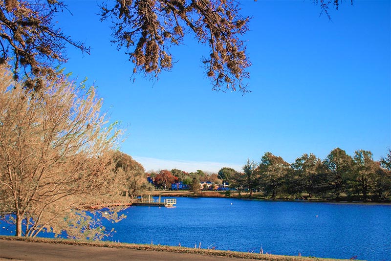Woodlawn Lake surrounded by trees in the Westside San Antonio neighborhood