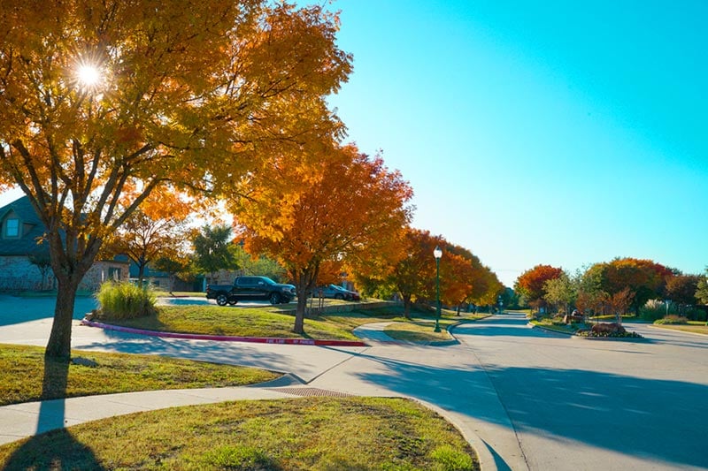 A residential street in the Creekside Estates community in Wylie, Texas